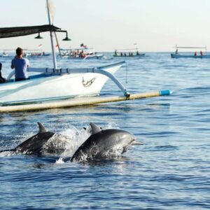 North Bali Tour