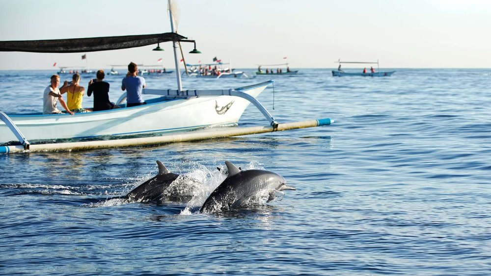 north-bali-tour